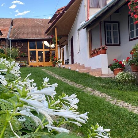 Casa Kelemen Iren Rimetea Exterior foto