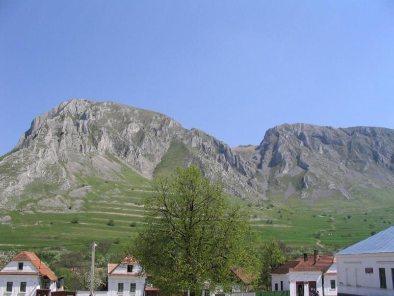 Casa Kelemen Iren Rimetea Exterior foto