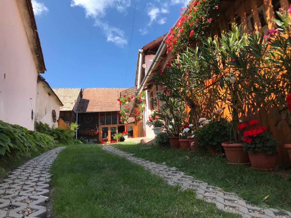 Casa Kelemen Iren Rimetea Exterior foto