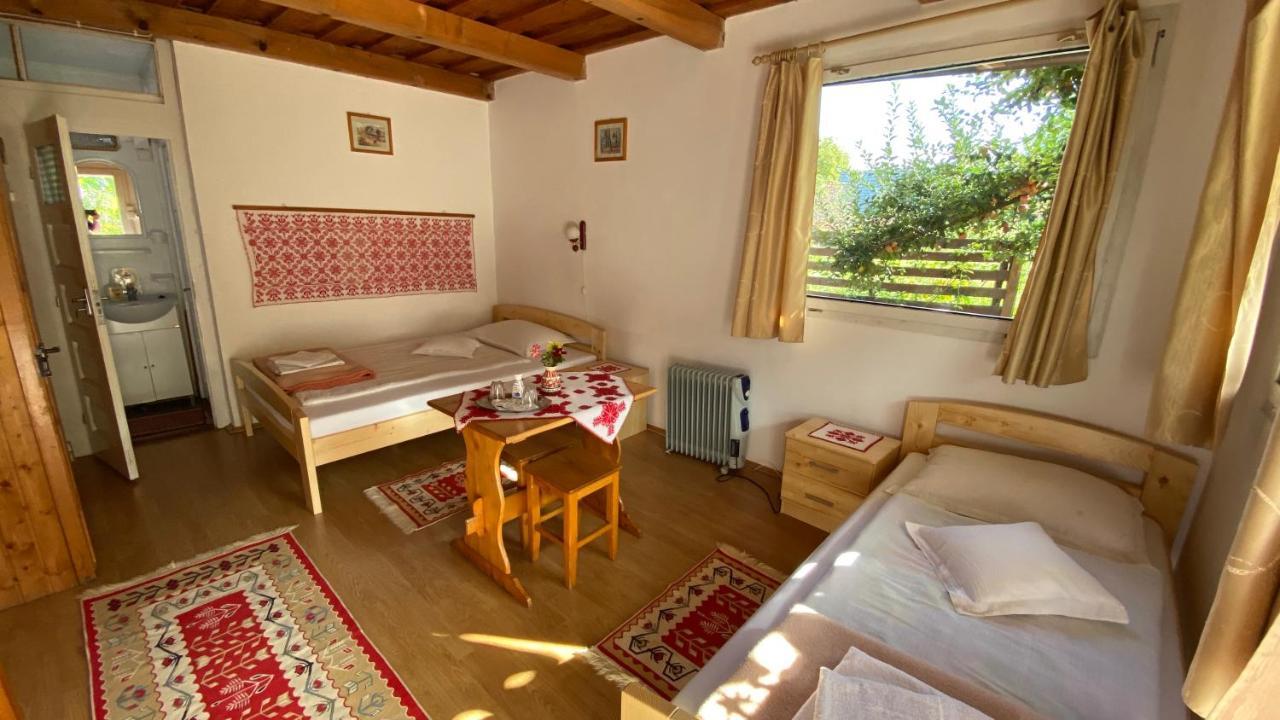 Casa Kelemen Iren Rimetea Exterior foto