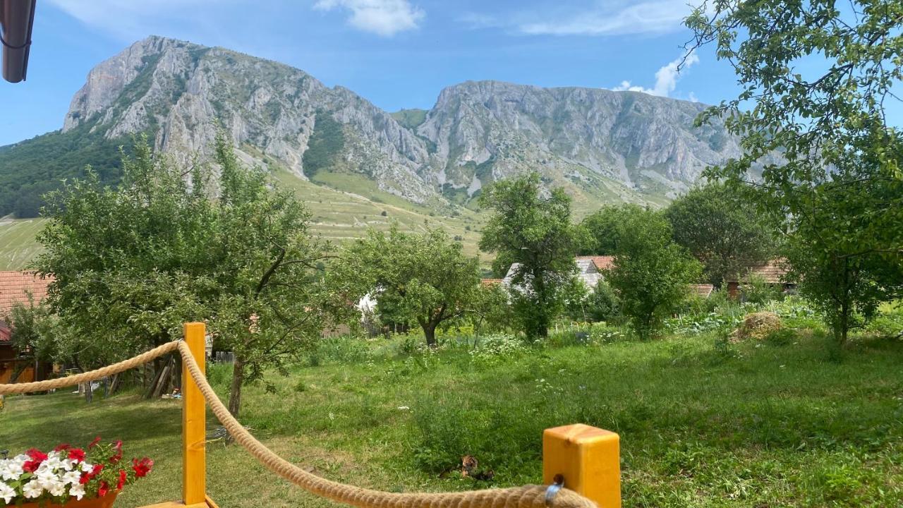 Casa Kelemen Iren Rimetea Exterior foto